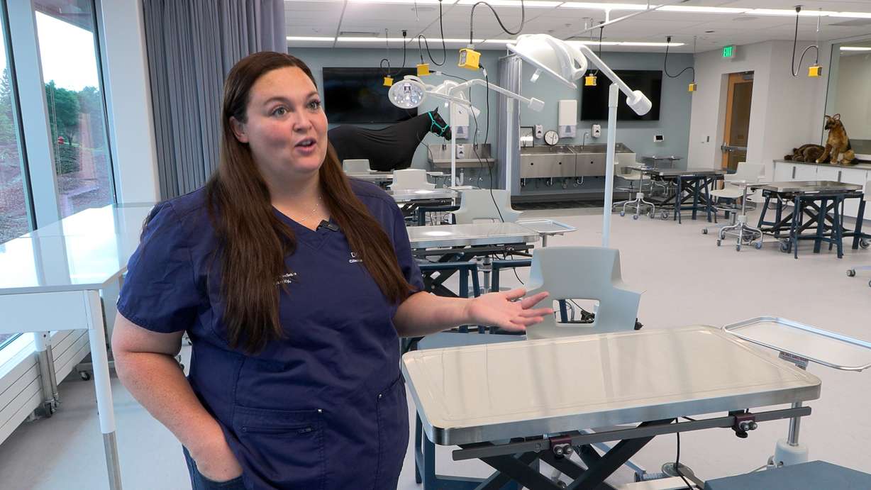 Alexis Sweat is an assistant professor of veterinary science, and a clinical skills course coordinator at Utah State University.
