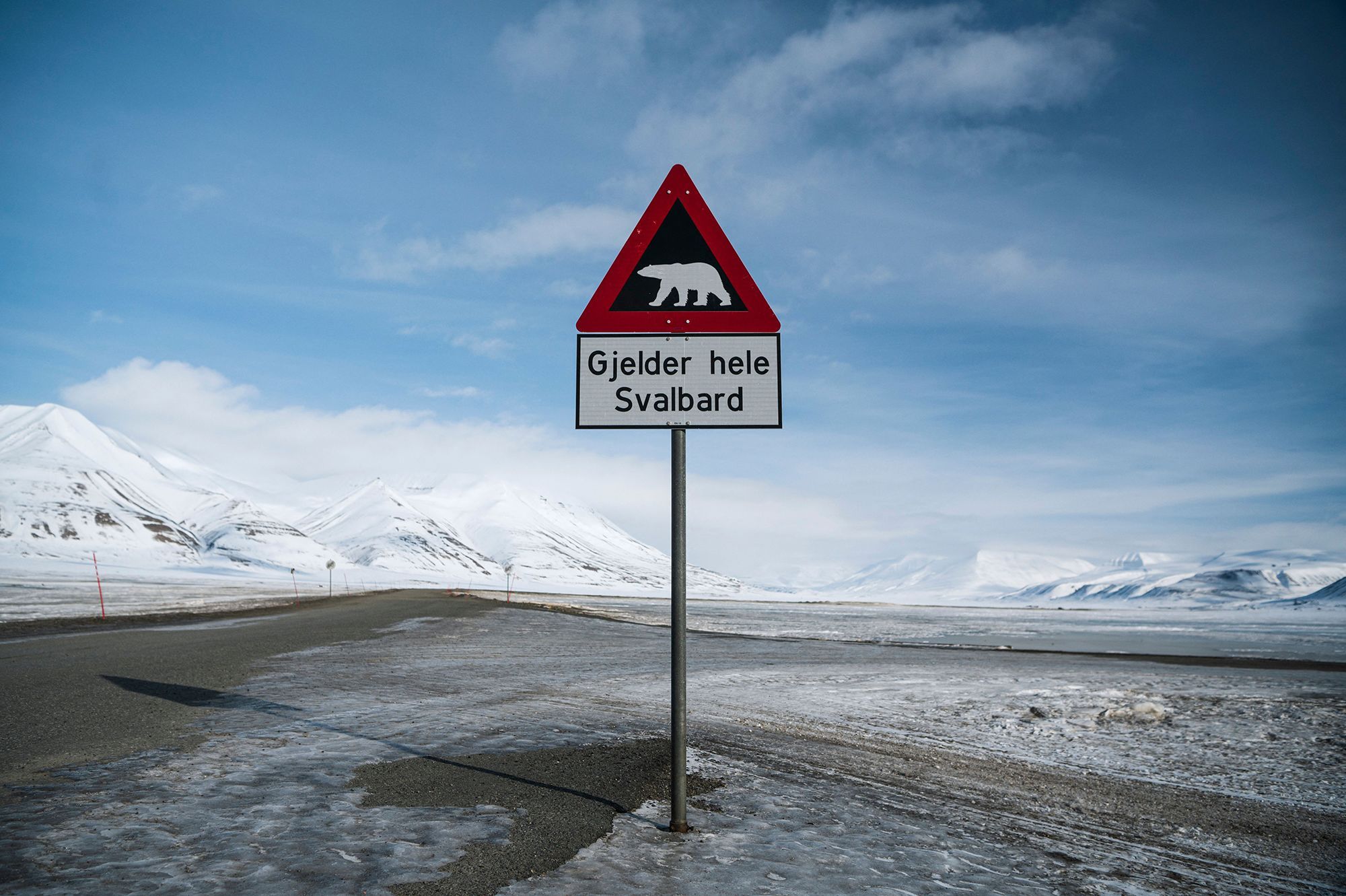 Person fined $5,000 for using foghorn to disturb sleeping polar bear