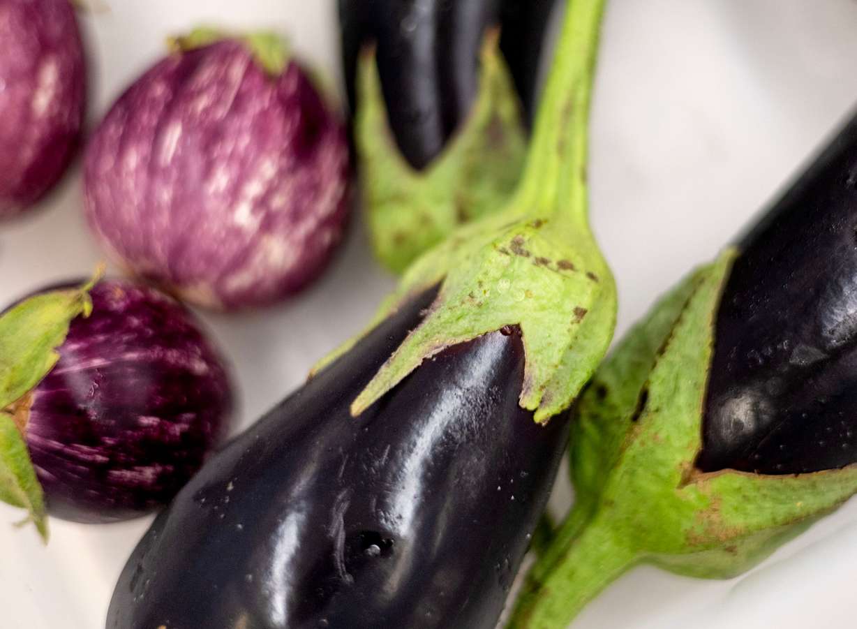 Free eggplants that were grown in the campus garden were available during a Fresh Food Friday budget cooking class at Utah Valley University in Orem on Friday.