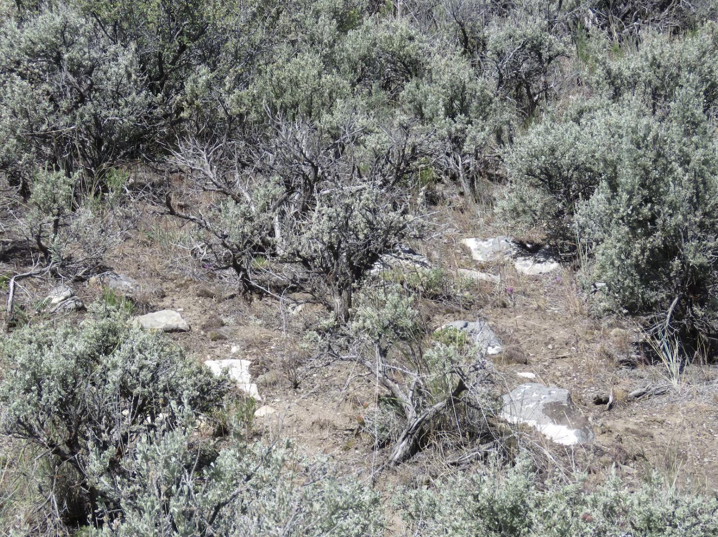 Graves that were found and later confirmed by the cadaver dogs as human remains are pictured in the City of Rocks National Reserve in Cassia County, Idaho, in May.