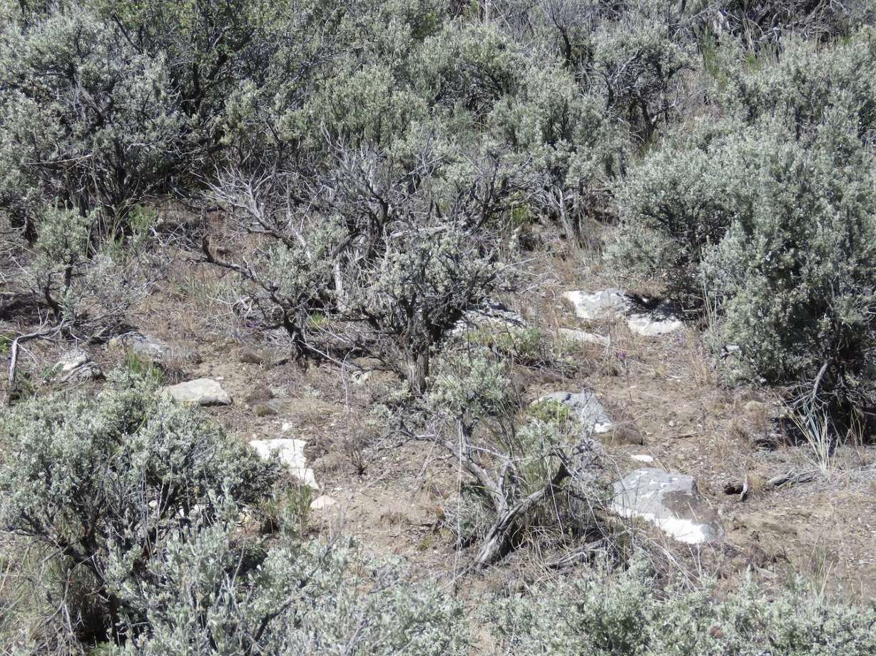 Graves that were found and later confirmed by the cadaver dogs as human remains are pictured in the City of Rocks National Reserve in Cassia County, Idaho, in May.