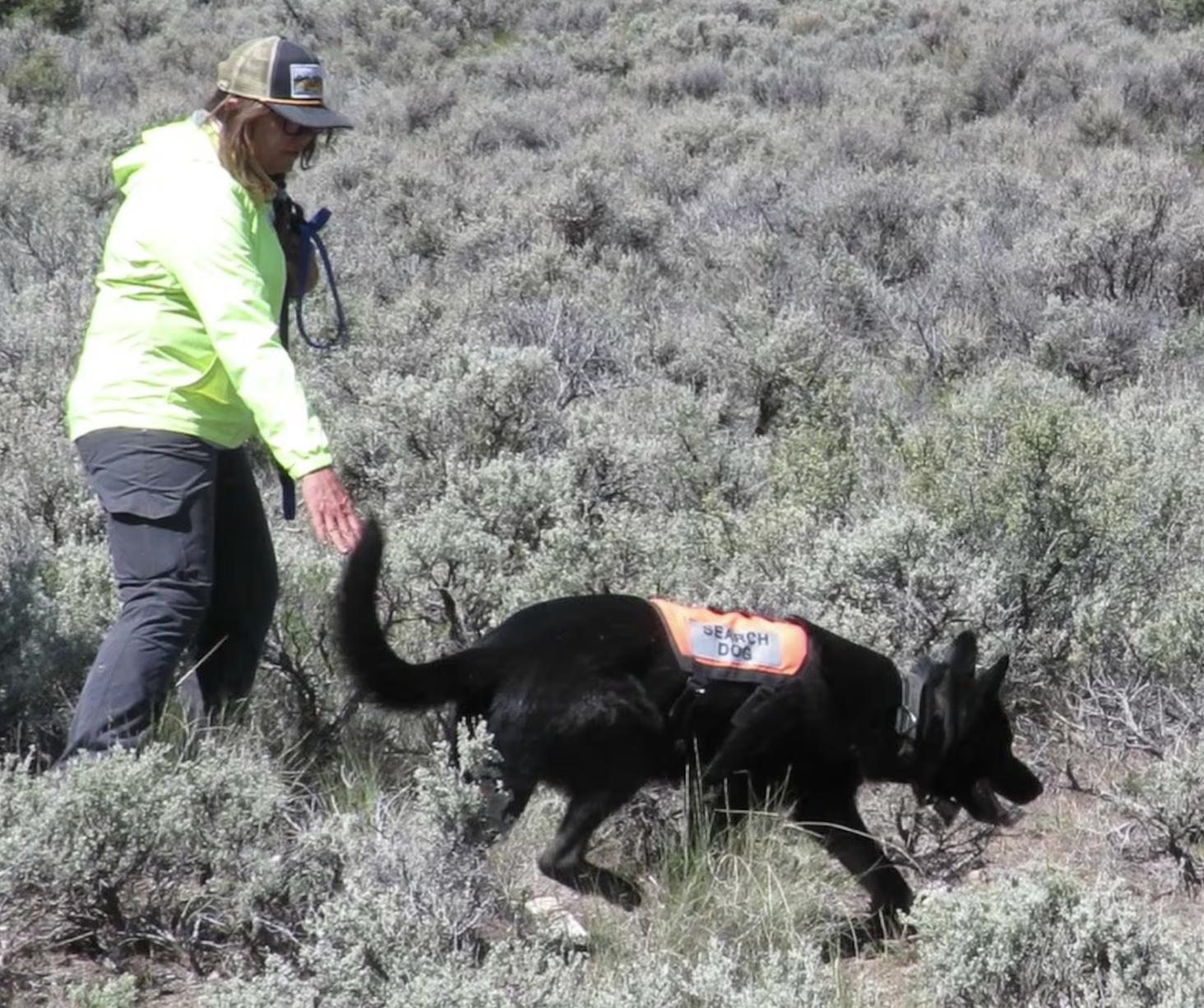 Cadaver dogs try to locate human in the City of Rocks National Reserve in Cassia County, Idaho in May.