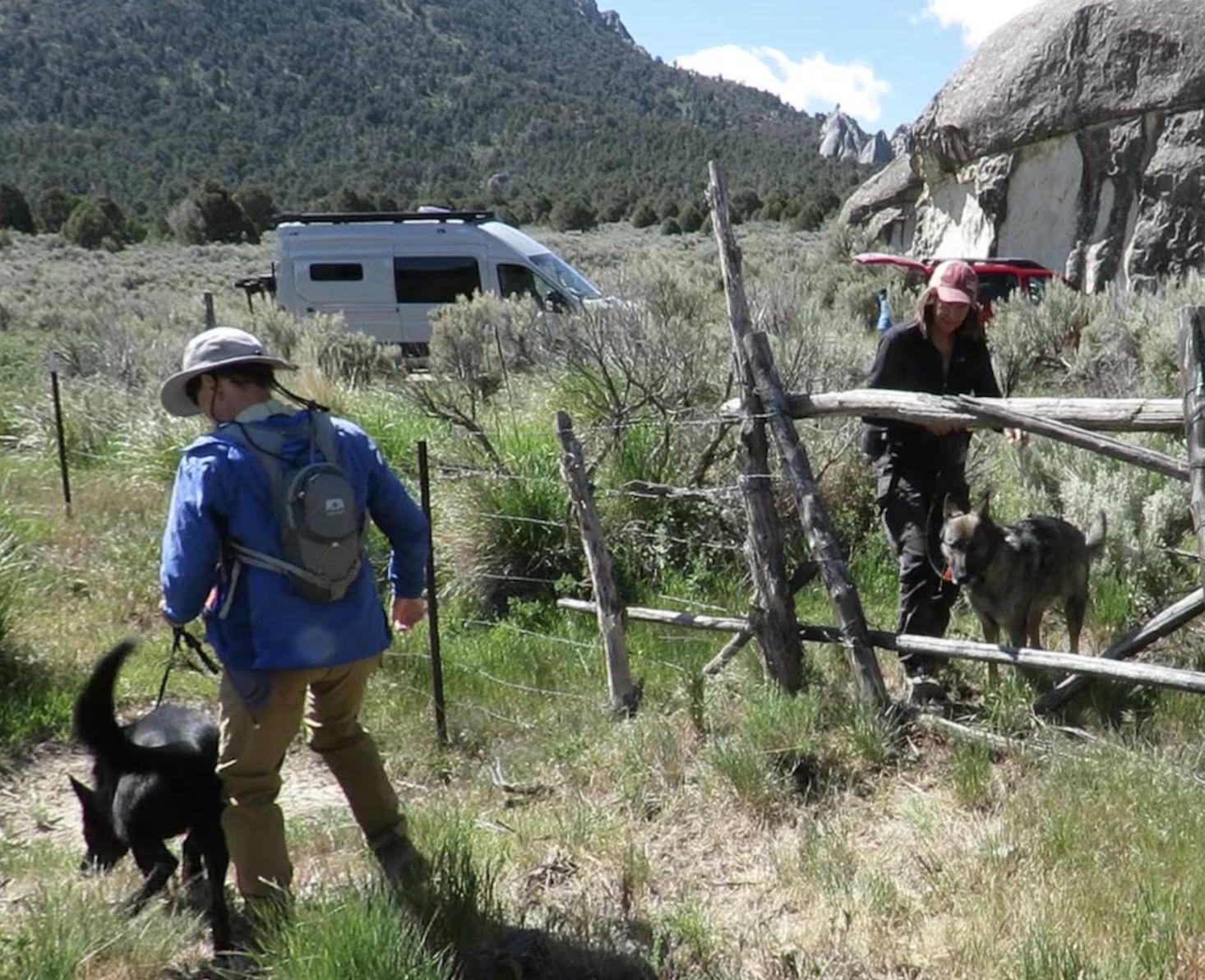 Cadaver dogs try to locate human in the City of Rocks National Reserve in Cassia County, Idaho, in May.