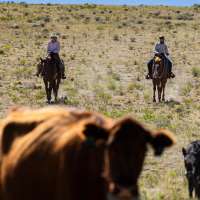 The average American rancher is 60. This program trains the people who might replace them
