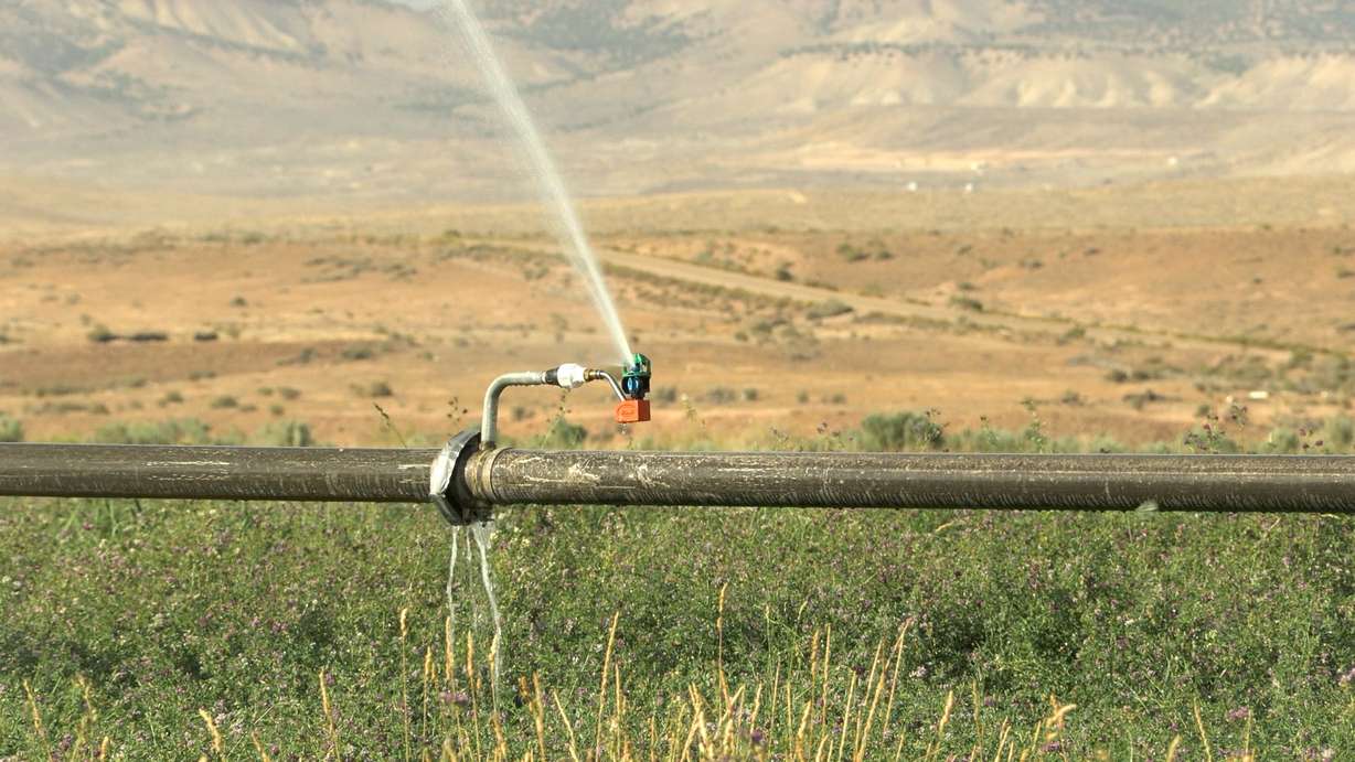 A sprinkler line at the Bar Lazy TL Ranch near Vernal.