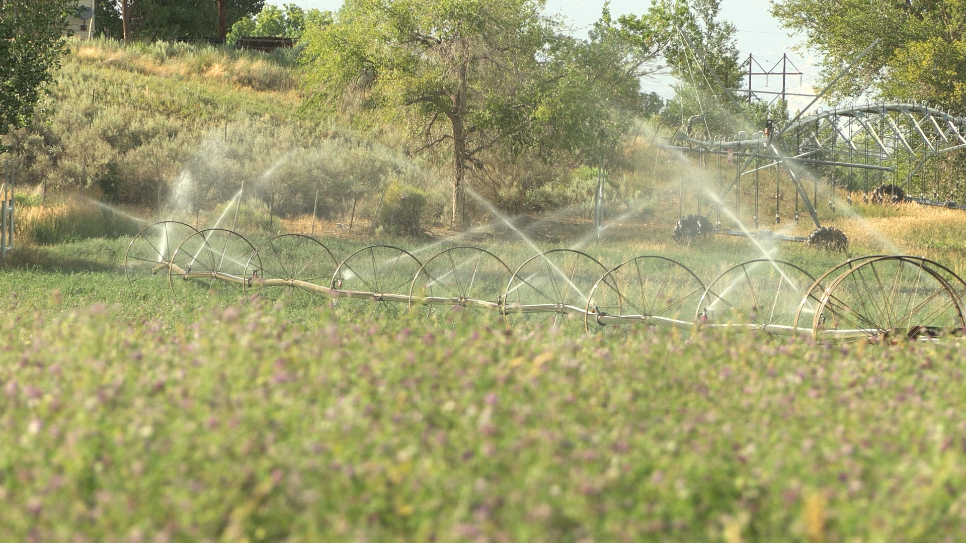 Utah State Ag-DRIP program helps farmers conserve water in Colorado River Basin