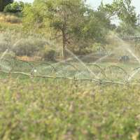 Utah State Ag-DRIP program helps farmers conserve water in Colorado River Basin