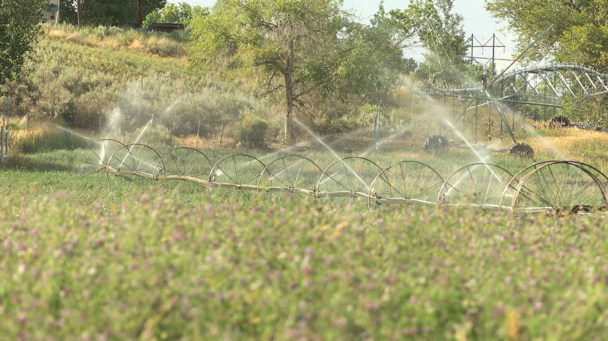 Wheel sprinkler line at the Bar Lazy TL Ranch near Vernal. Ag-DRIP, a Utah State research program, aims to help farmers conserve water in the Colorado River Basin.