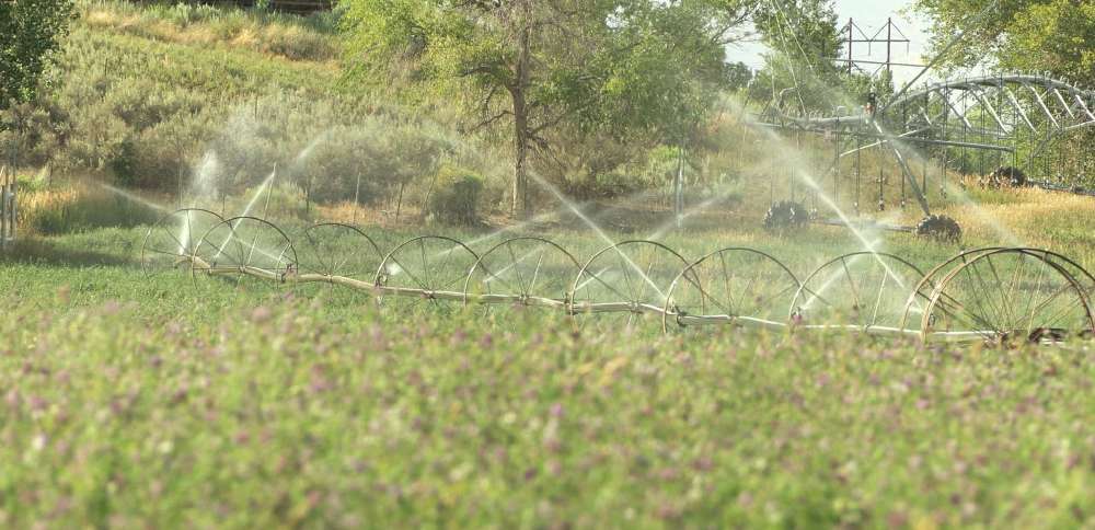 Utah State Ag-DRIP program helps farmers conserve water in Colorado River Basin