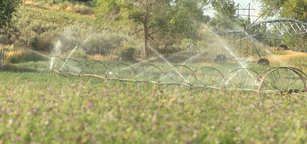 Utah State Ag-DRIP program helps farmers conserve water in Colorado River Basin