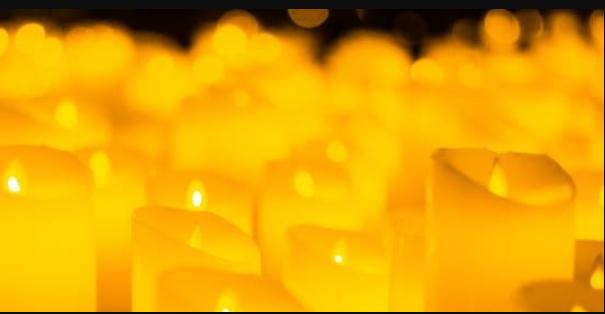 Candlelight: The Best of Joe Hisaishi