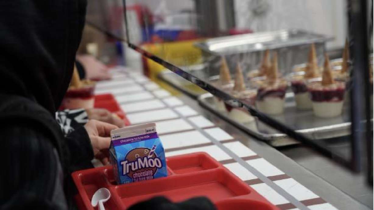 Small carton, big impact: The story behind school milk
