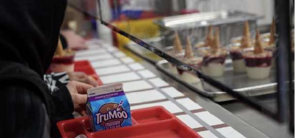 Small carton, big impact: The story behind school milk