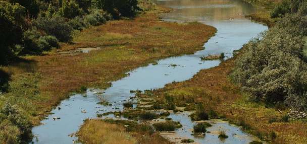The Department of Interior just opened 90 million acres to hunting and fishing