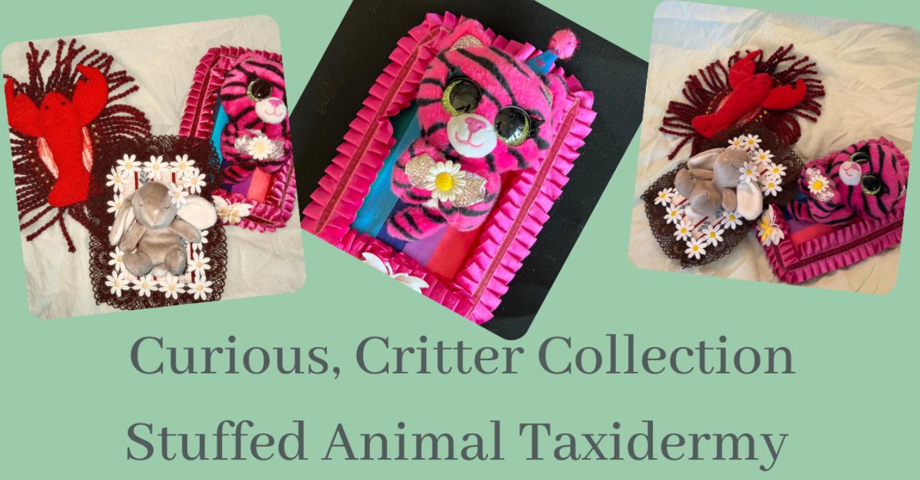 Creative Critter Collection & Stuffed Animal Taxidermy