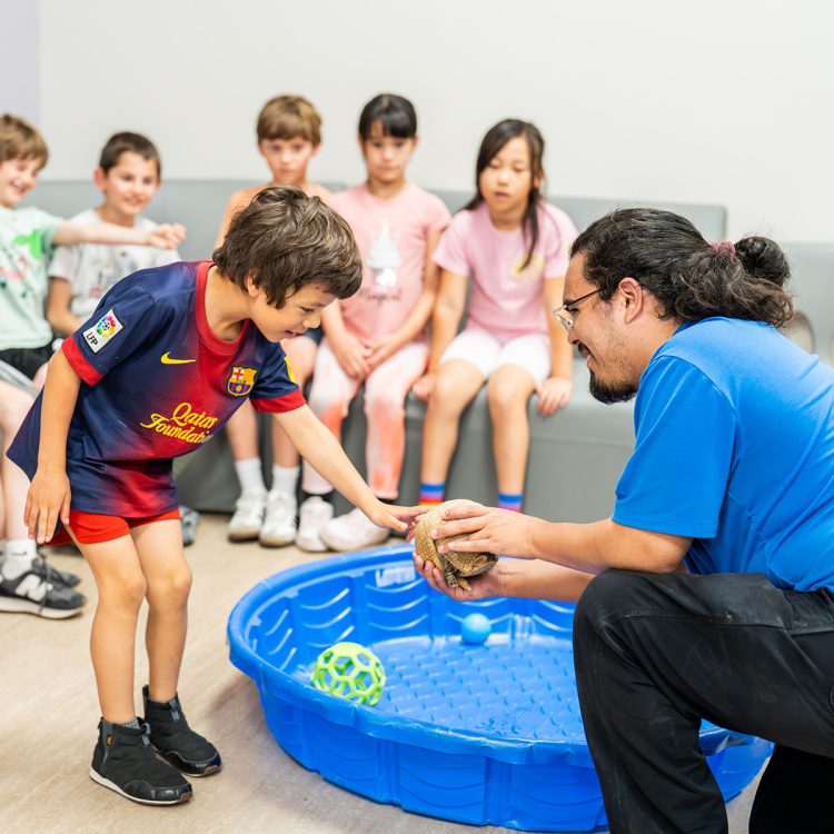 Fall Break Camps