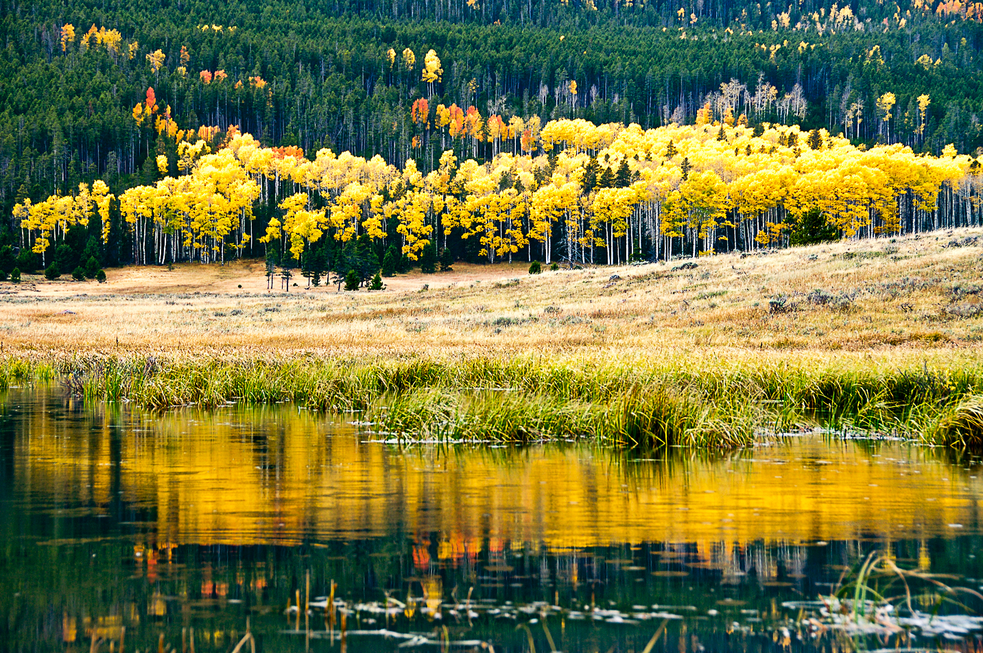 10 reasons you must plan a getaway to Flaming Gorge this fall