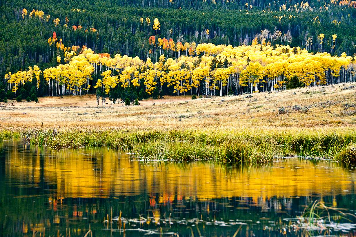 10 reasons you must plan a getaway to Flaming Gorge this fall