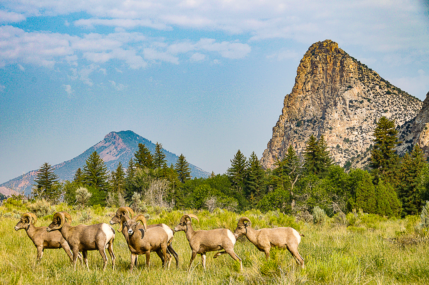 10 reasons you must plan a getaway to Flaming Gorge this fall