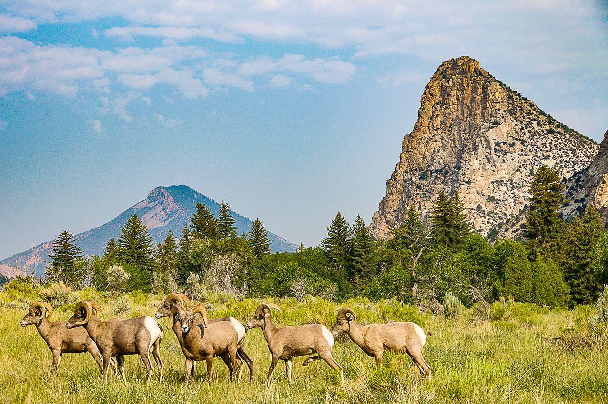 10 reasons you must plan a getaway to Flaming Gorge this fall