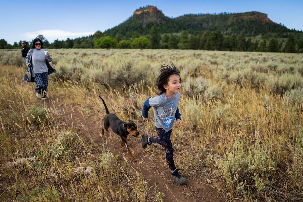 Poll shows Utahns' reaction to Trump's decision to shrink Bears Ears, Grand Staircase-Escalante
