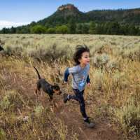 Poll shows Utahns' reaction to Trump's decision to shrink Bears Ears, Grand Staircase-Escalante