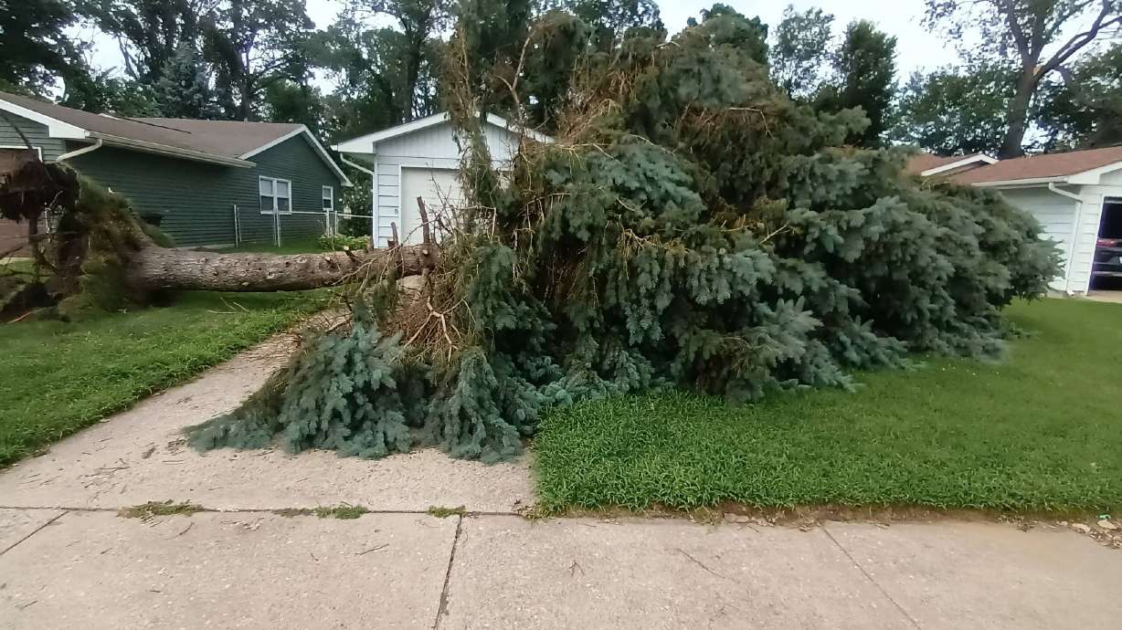 A downed tree in front of a house in Portage, Ind., on Tuesday, Aug. 18, 2026.