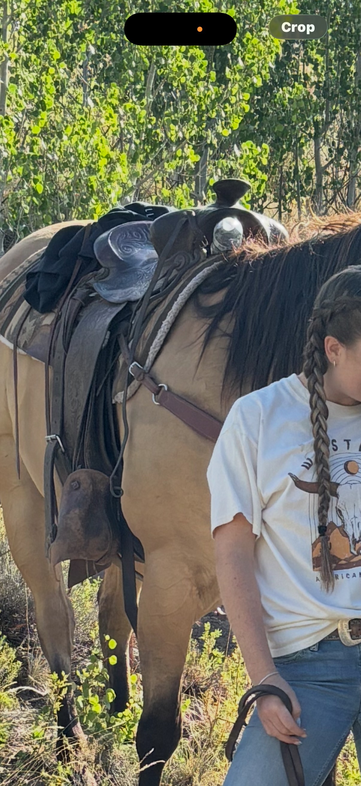 'Let us keep our memories': 2 southern Utah farmers experience theft of 'priceless' saddles