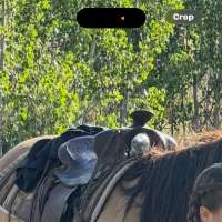 'Let us keep our memories': 2 southern Utah farmers experience theft of 'priceless' saddles
