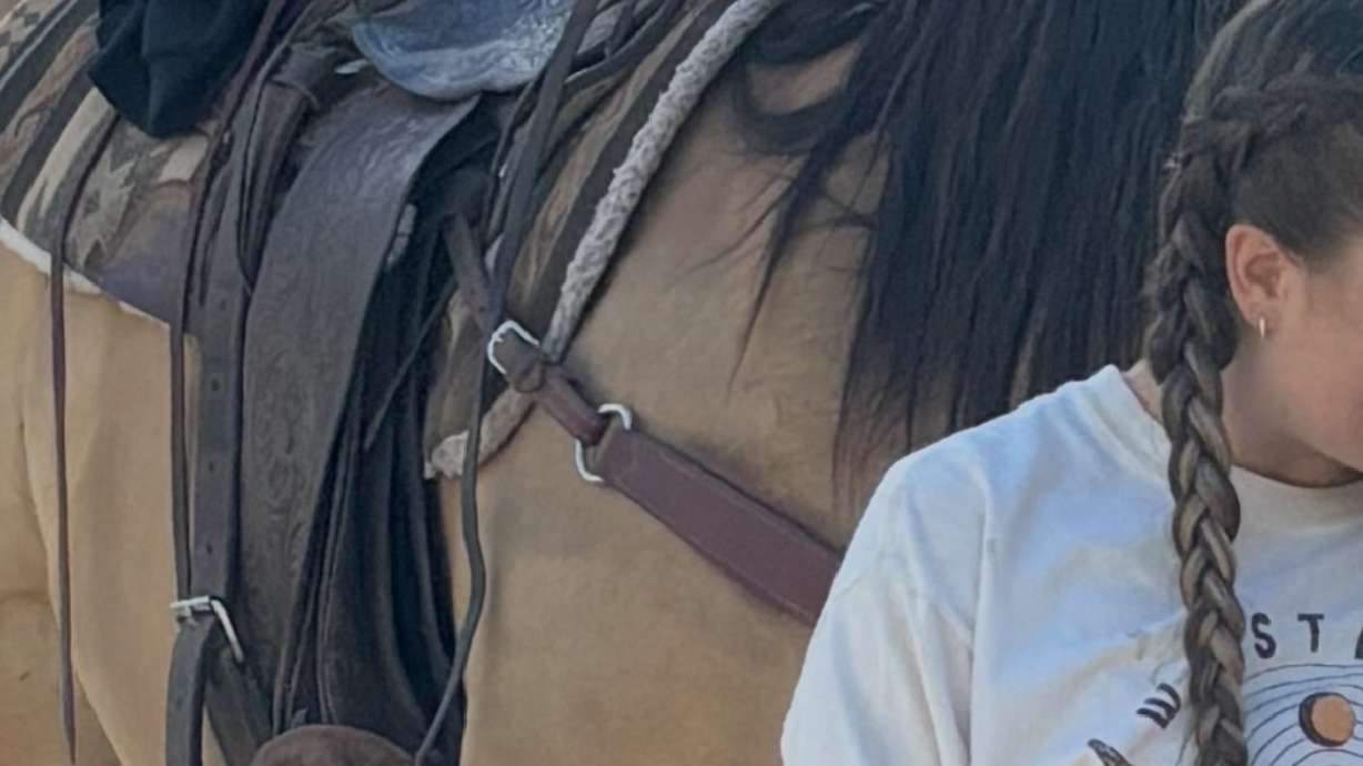 Two farms in Parowan and Paragonah, in Iron County, are reporting a string of burglaries, and town officials are asking for the public’s help. Farmers expressed sadness over losing a priceless saddle.