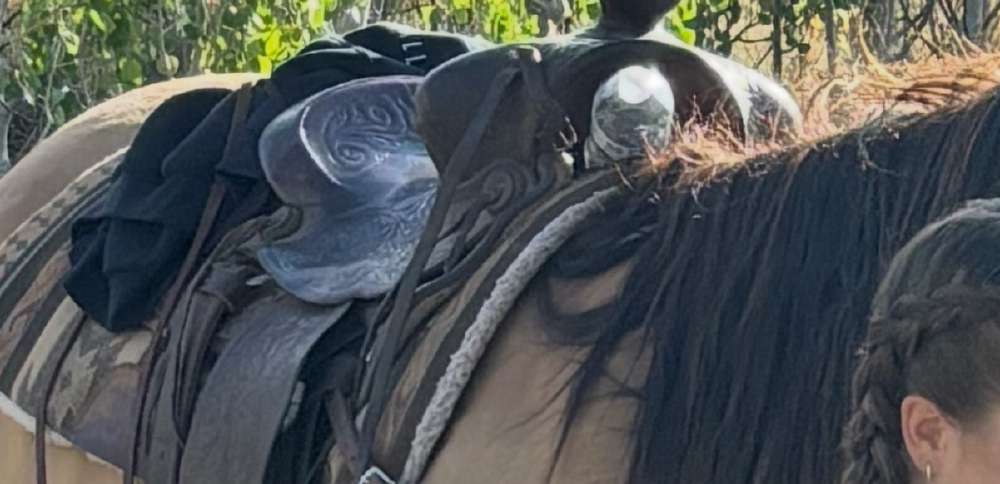 'Let us keep our memories': 2 southern Utah farmers experience theft of 'priceless' saddles