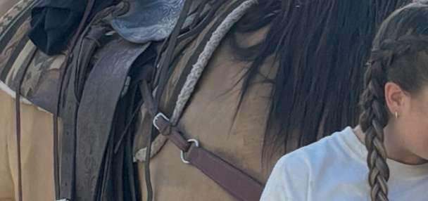 'Let us keep our memories': 2 southern Utah farmers experience theft of 'priceless' saddles