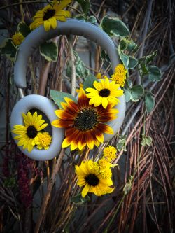 Sounds of a Life Well-Loved, by Kat Nix and Connor Estes