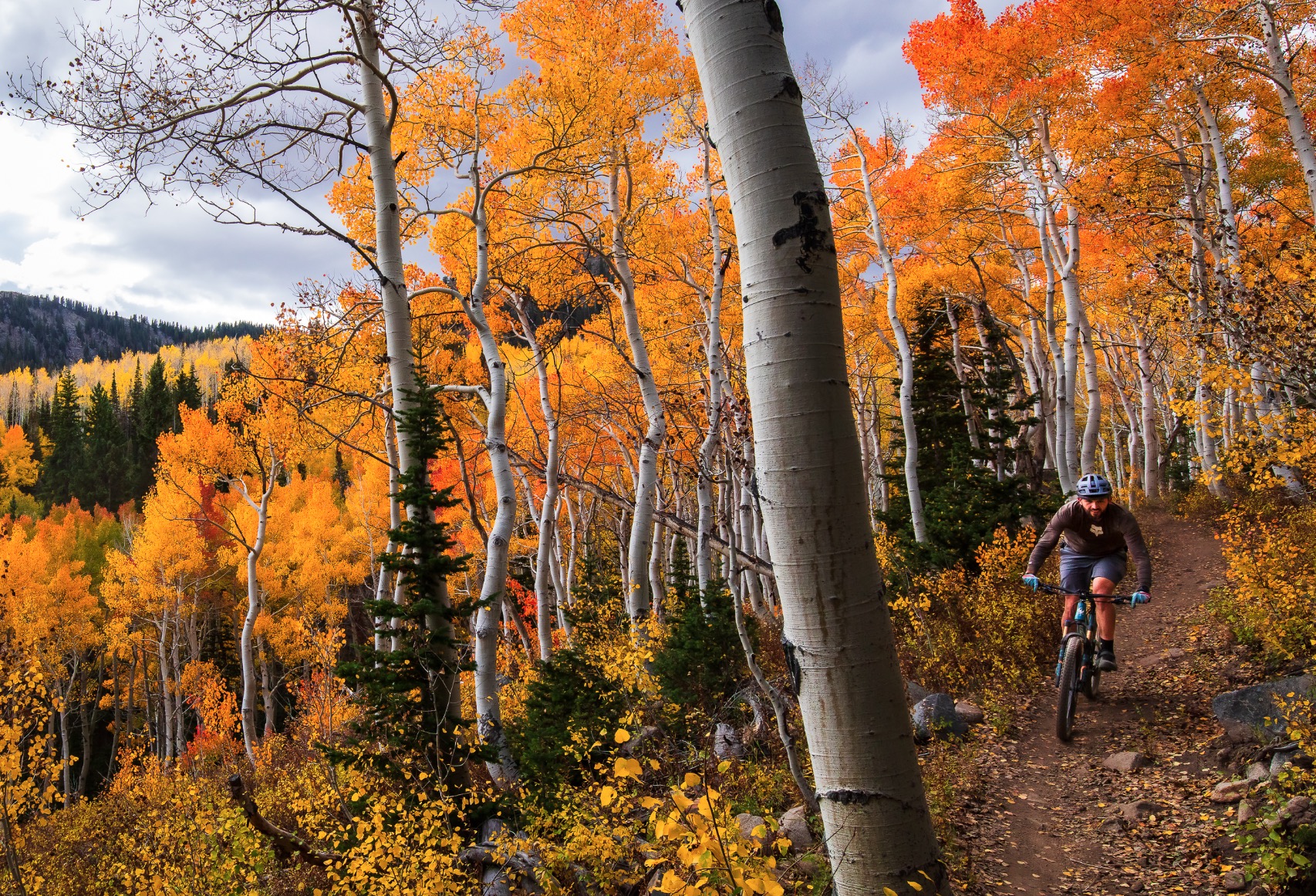 Everyone's talking about a 'super El Niño' winter, but how will it affect Utah's fall?