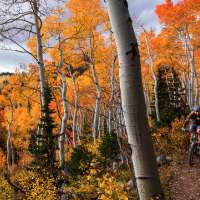 Everyone's talking about a 'super El Niño' winter, but how will it affect Utah's fall?