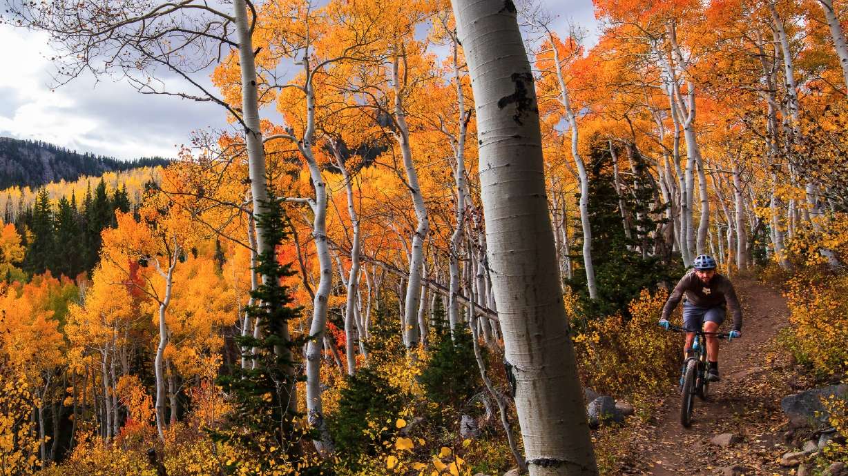 A mountain bicyclist rides through the Wasatch Backcountry near Park City on Sept. 27, 2025. Odds lean to a wet and warm meteorological fall, according to a long-range outlook released on Thursday.