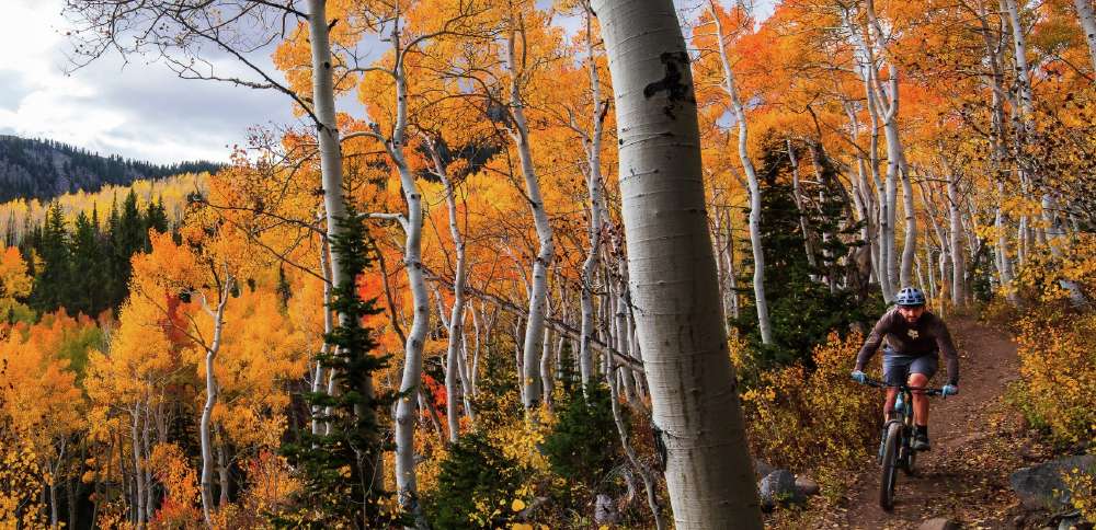 Everyone's talking about a 'super El Niño' winter, but how will it affect Utah's fall?