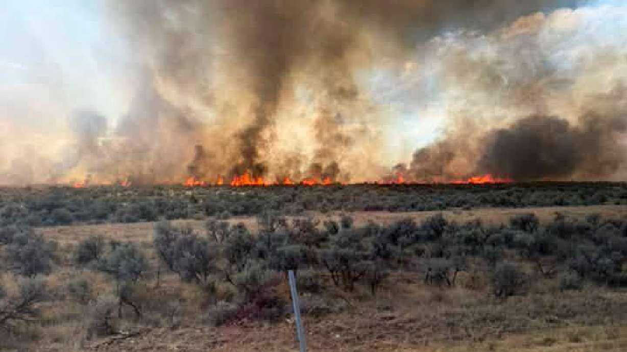 A grass fire in Garland on Friday afternoon prompted an I-15 closure and an evacuation for Harley Drive residents.