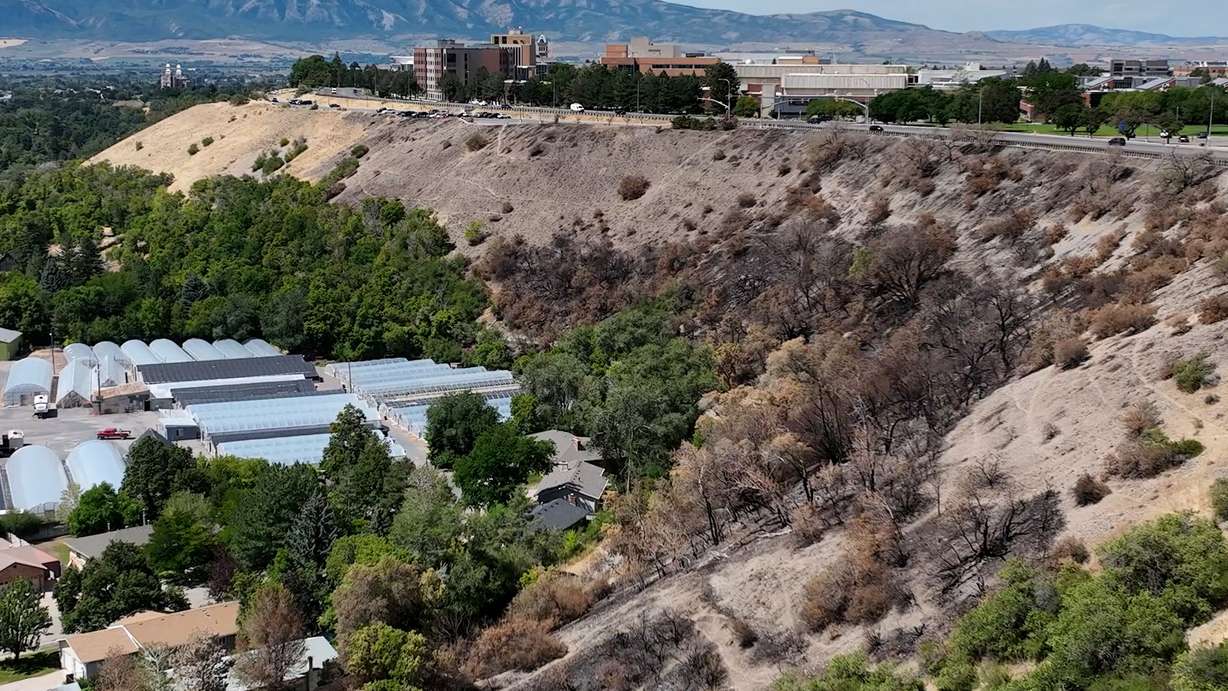 The Canyon Road Fire burn scar is seen below Utah State University in Logan on Aug. 18.