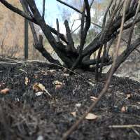 Cause determined for Canyon Road Fire in Logan
