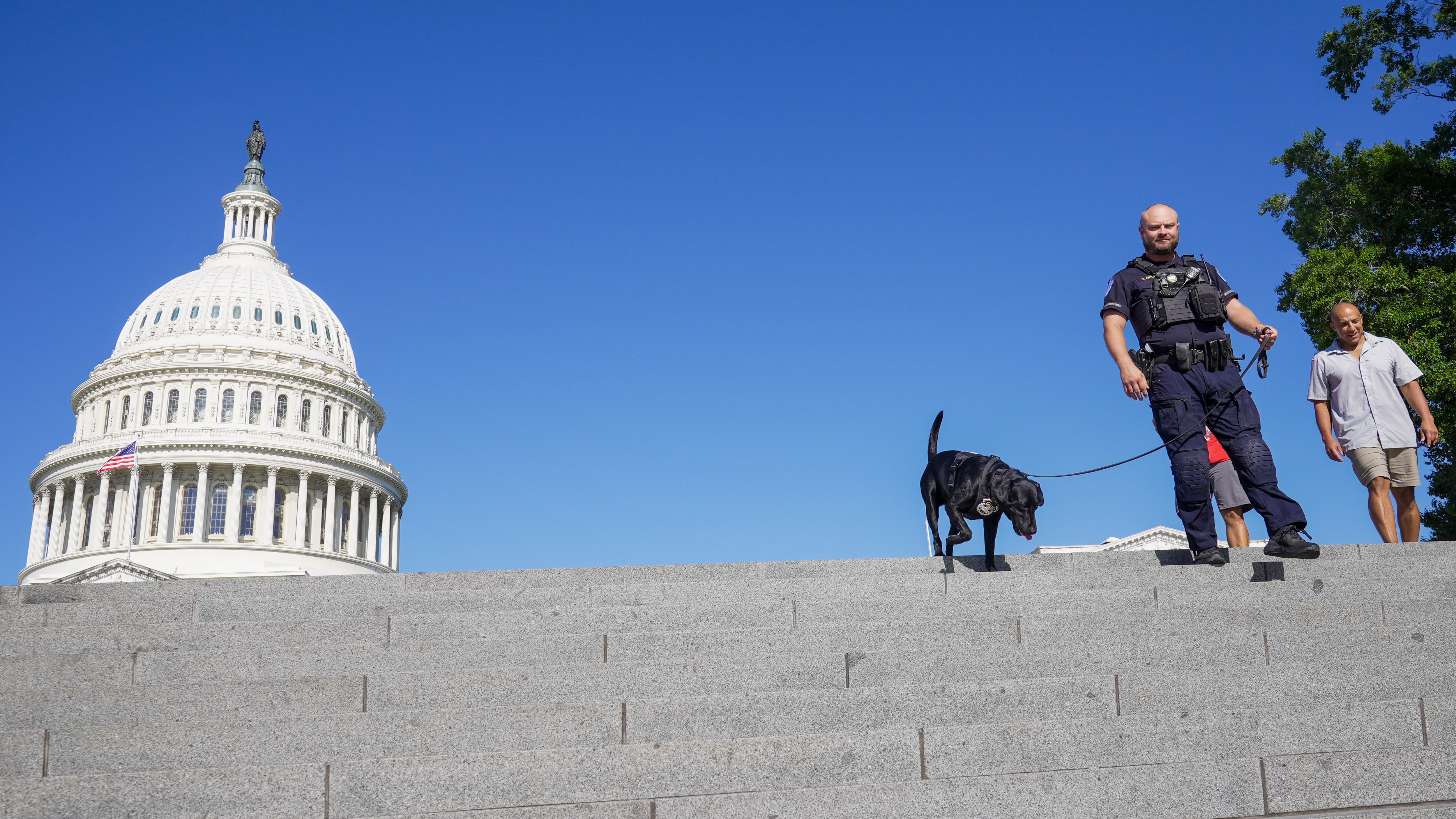 A U.S. Capitol Police officer patrols outside of Capitol with a K-9, July 31, in Washington.