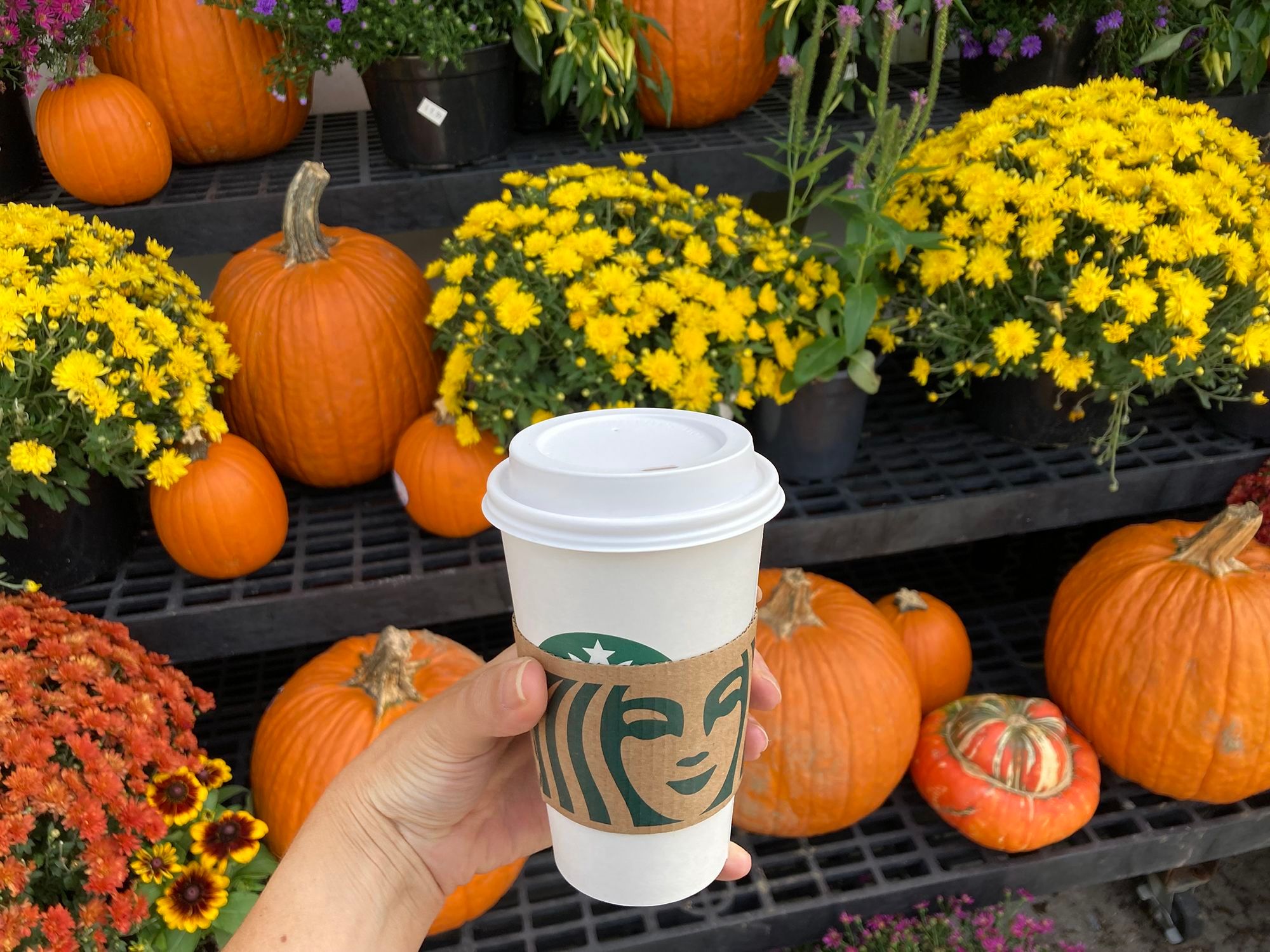 The calendar might still say summer. But this Starbucks fall favorite is back in stores