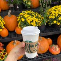 The calendar might still say summer. But this Starbucks fall favorite is back in stores