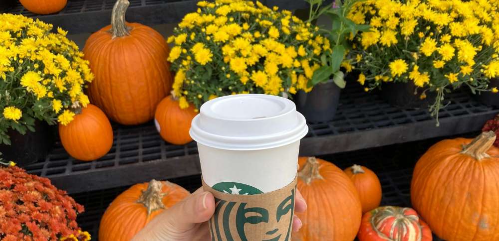 The calendar might still say summer. But this Starbucks fall favorite is back in stores