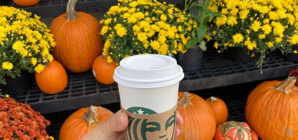 The calendar might still say summer. But this Starbucks fall favorite is back in stores