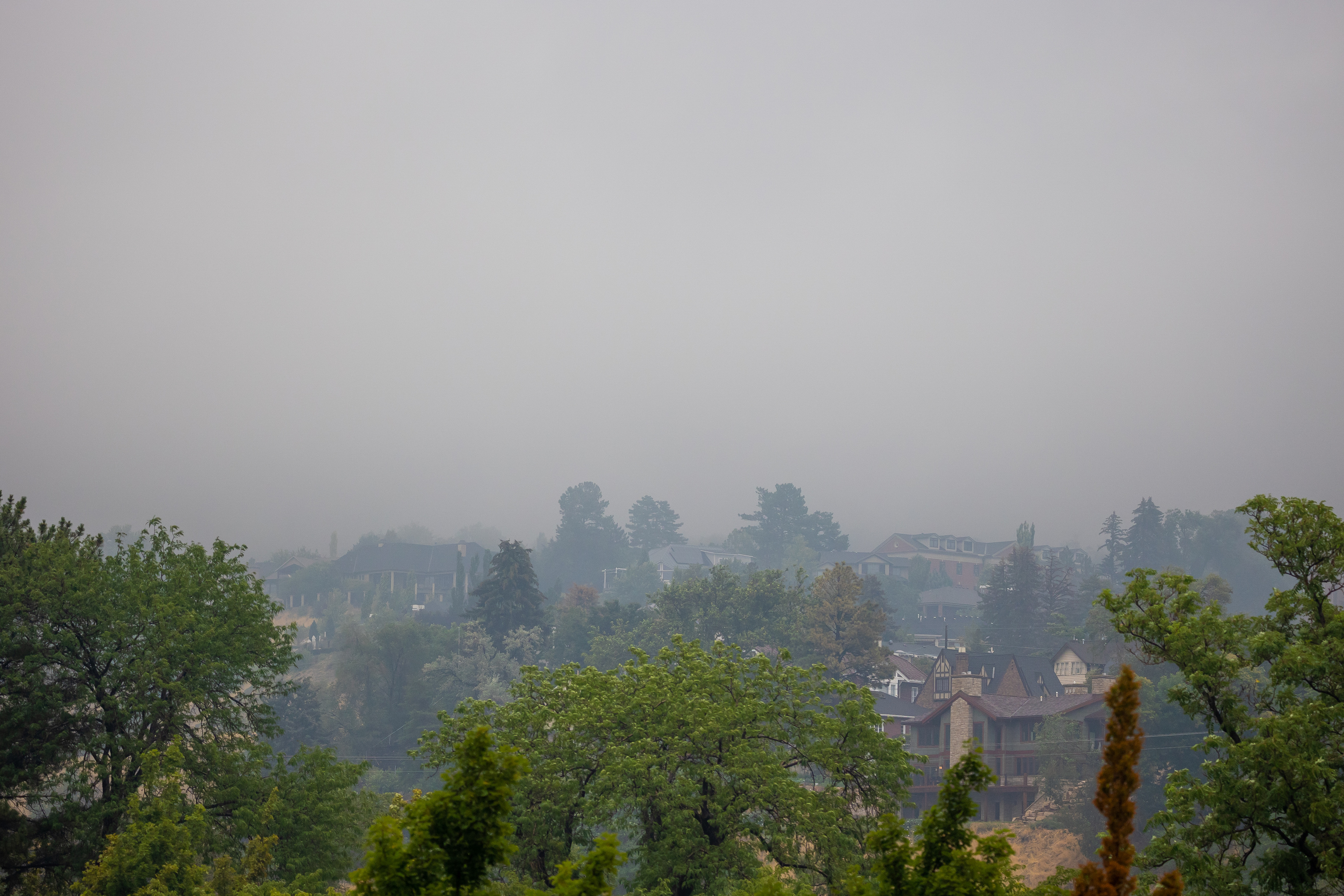 When wildfire smoke and rain collide, it may fall as fertilizer, U. study finds