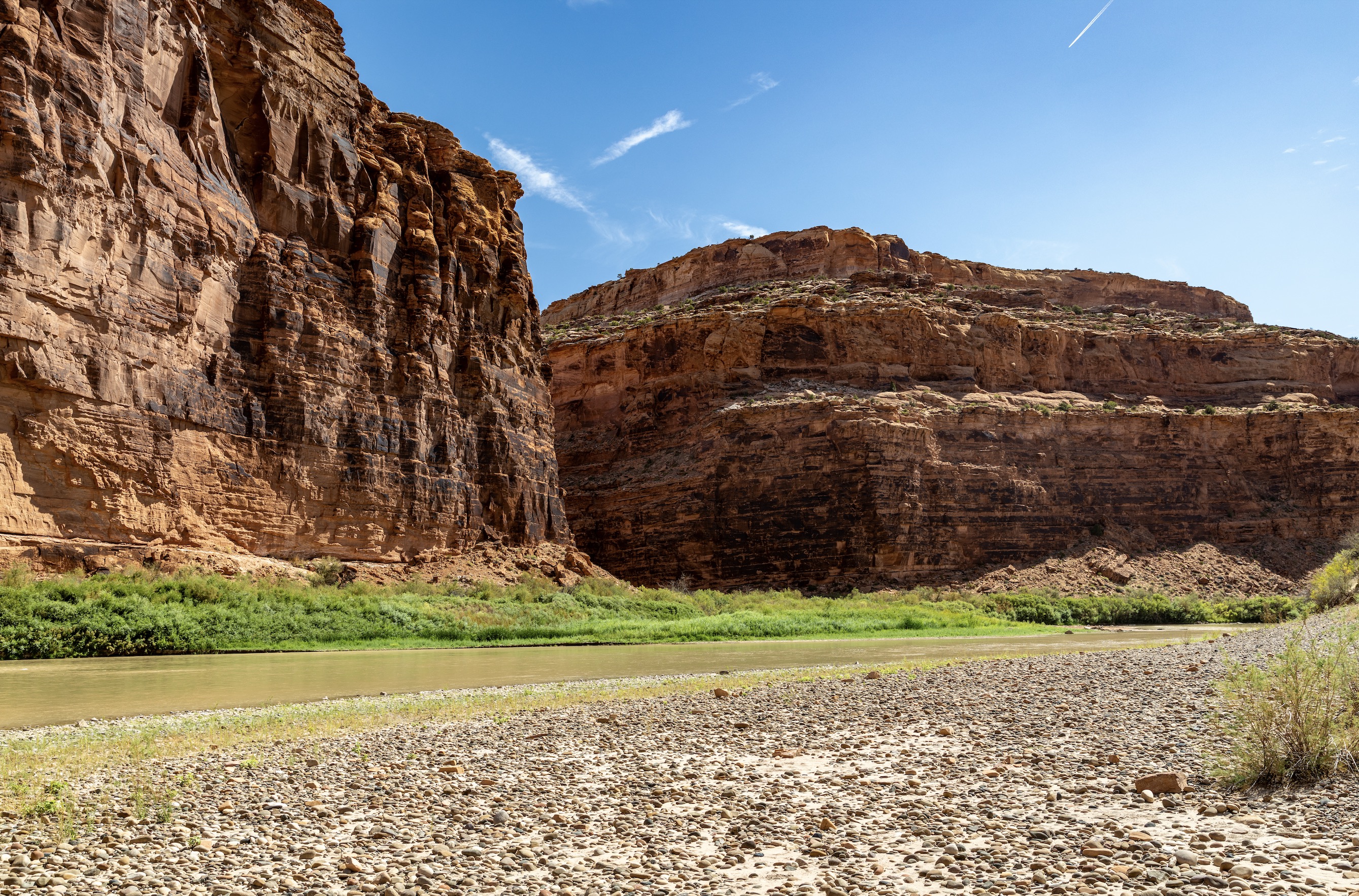 A costly invasive species appears to have made it to Utah's Colorado River segment