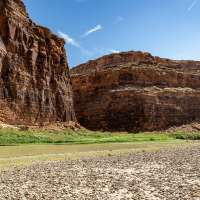 A costly invasive species appears to have made it to Utah's Colorado River segment