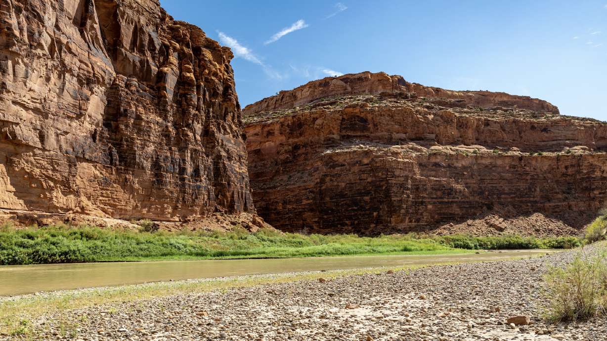 A costly invasive species appears to have made it to Utah's Colorado River segment