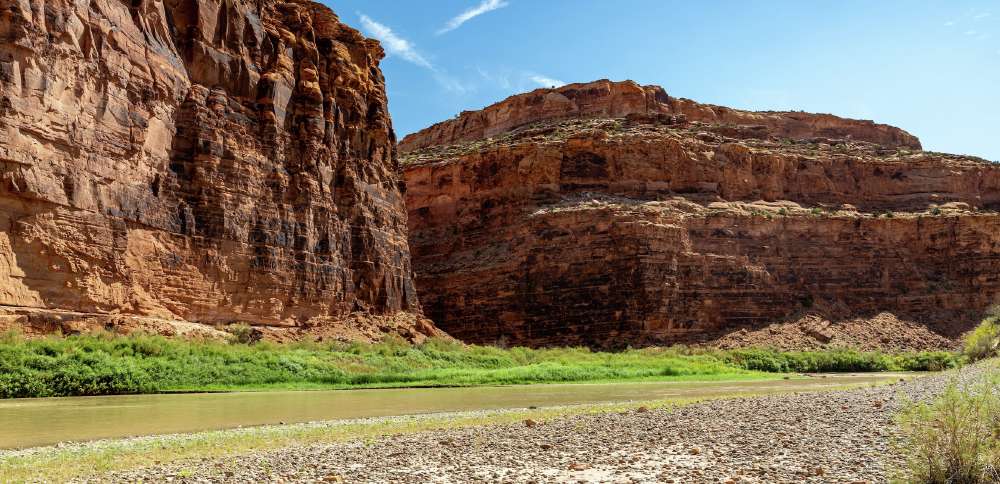 A costly invasive species appears to have made it to Utah's Colorado River segment